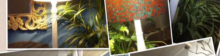 Happy Poppy Lampshade Customer