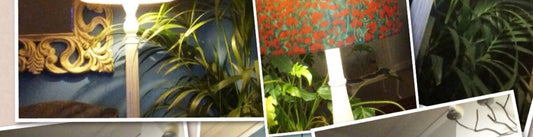 Happy Poppy Lampshade Customer