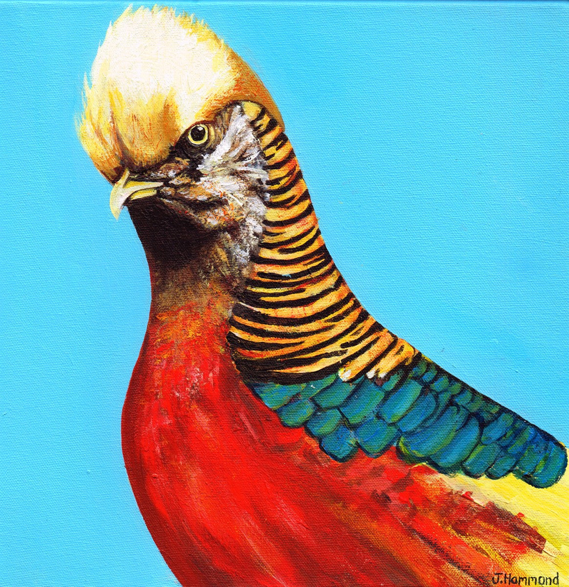 Trump - Bird Print Range