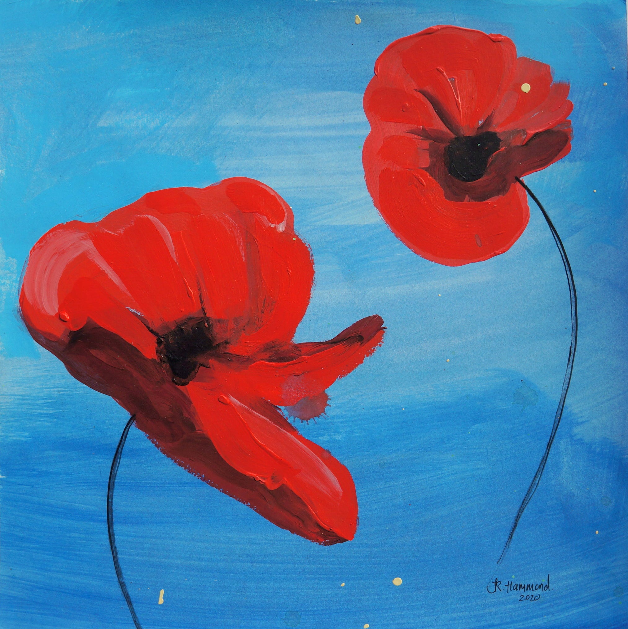 Poppy Flowers Study Two