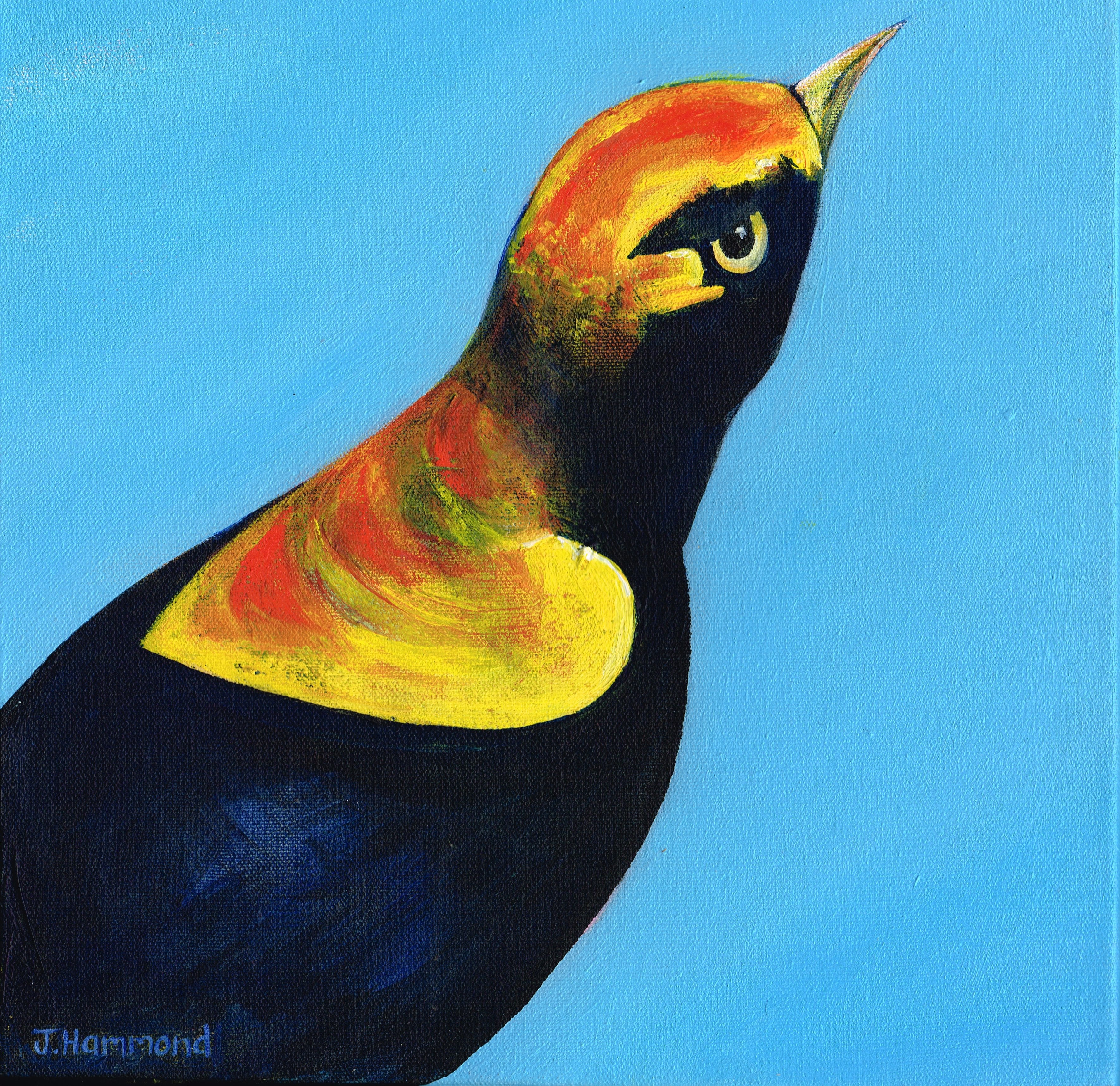 An Eyeful - Bird Portrait Painting  Smart Deco Homeware Lighting and Art by Jacqueline hammond