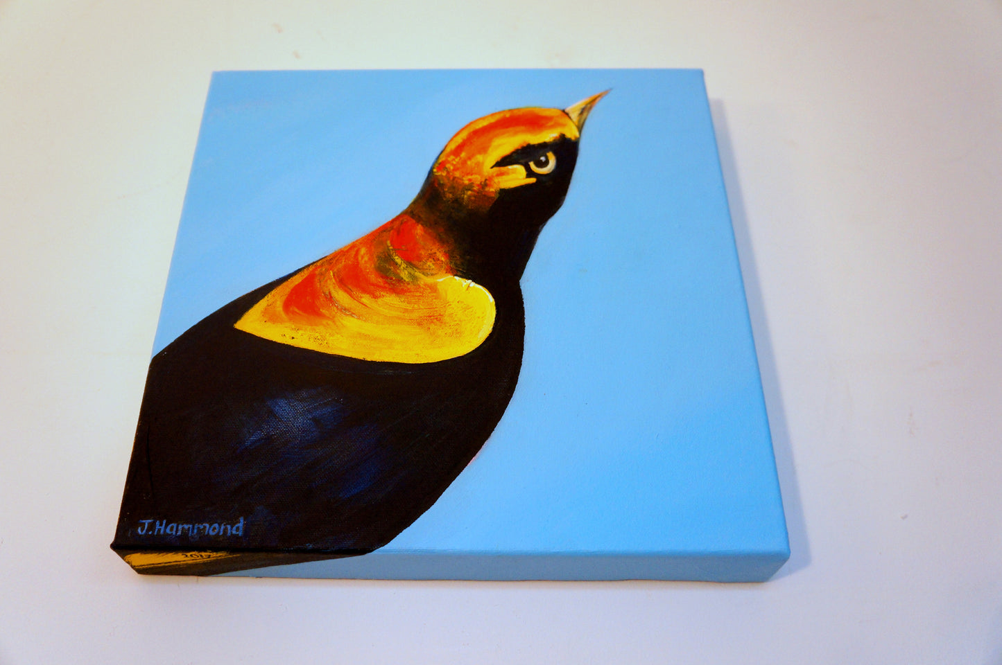 An Eyeful - Bird Portrait Painting  Smart Deco Homeware Lighting and Art by Jacqueline hammond