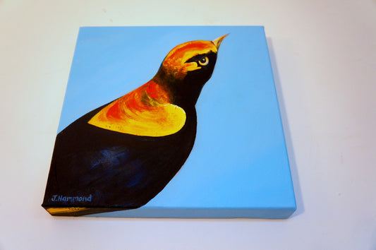 An Eyeful - Bird Portrait Painting  Smart Deco Homeware Lighting and Art by Jacqueline hammond