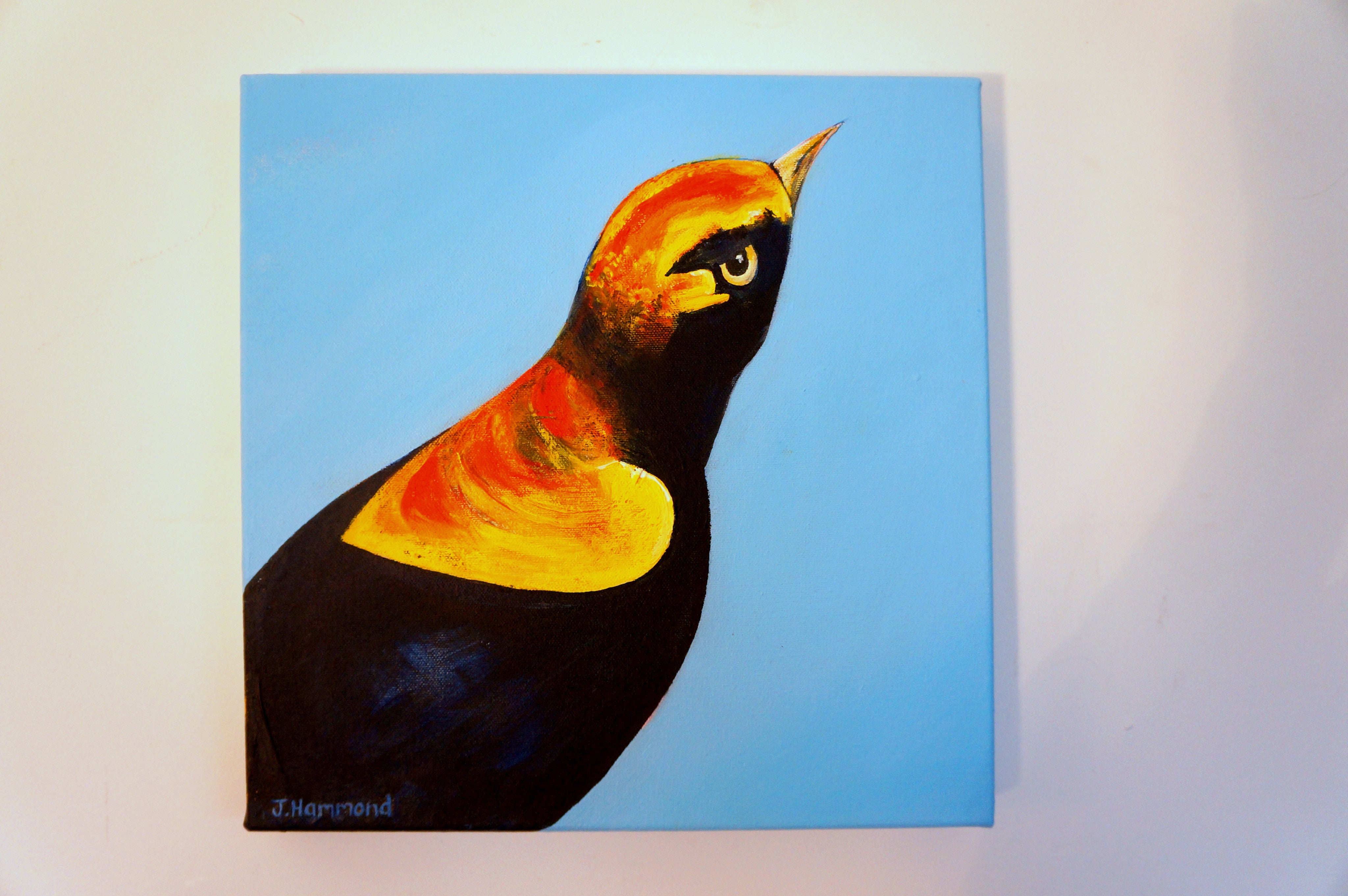An Eyeful - Bird Portrait Painting  Smart Deco Homeware Lighting and Art by Jacqueline hammond