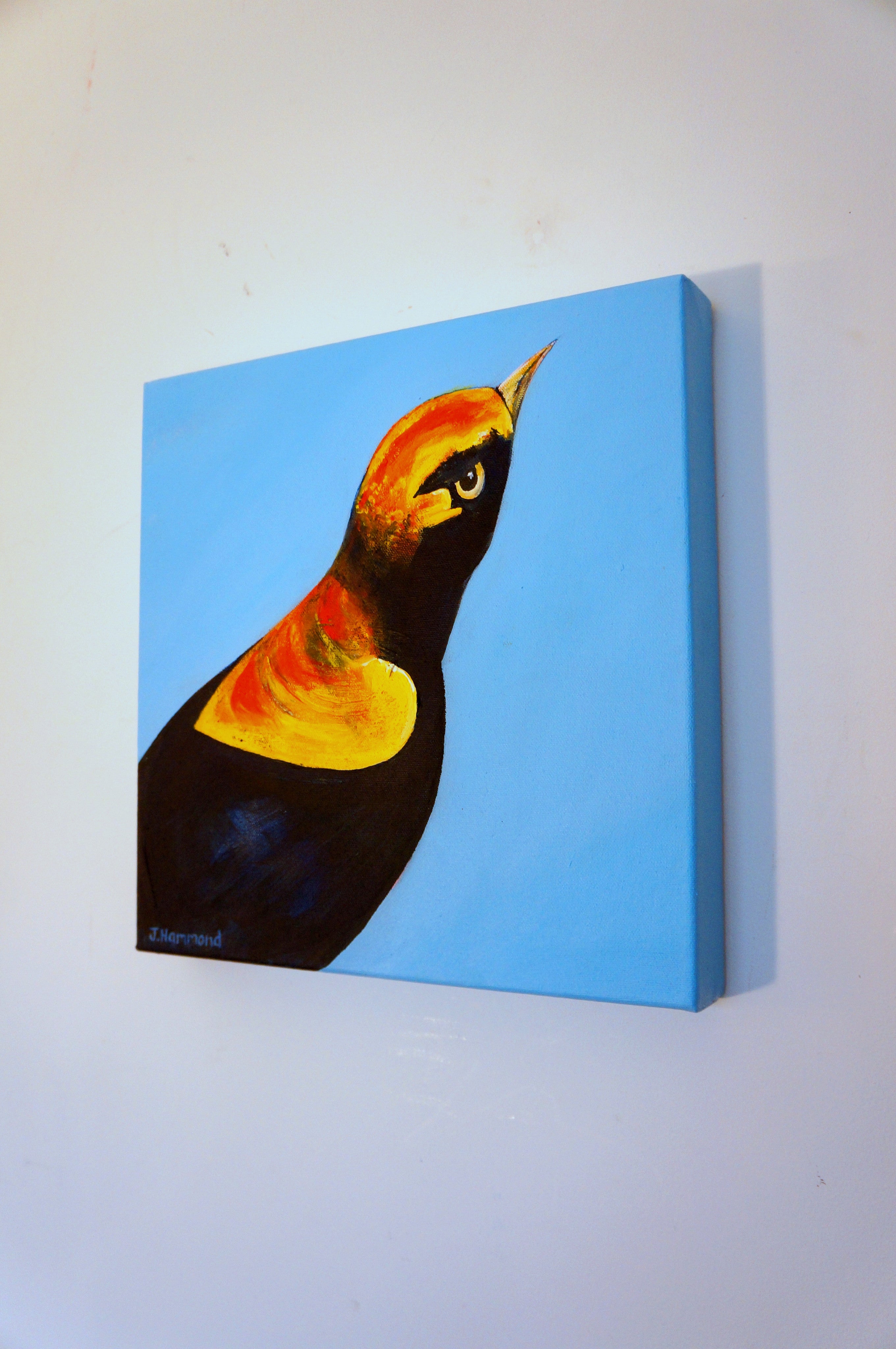 An Eyeful - Bird Portrait Painting  Smart Deco Homeware Lighting and Art by Jacqueline hammond