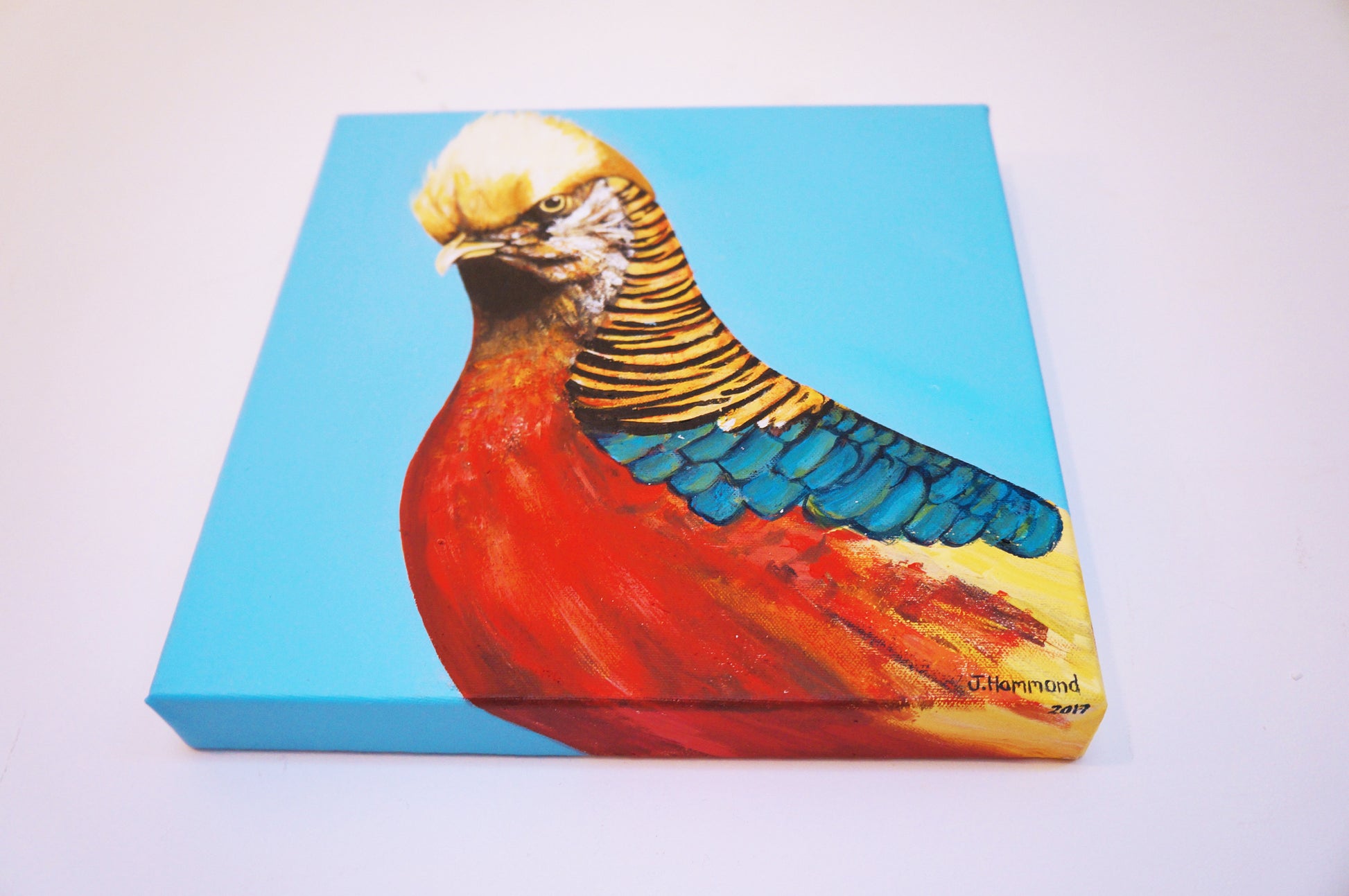 Trump - Bird Portrait Painting  Smart Deco Homeware Lighting and Art by Jacqueline hammond