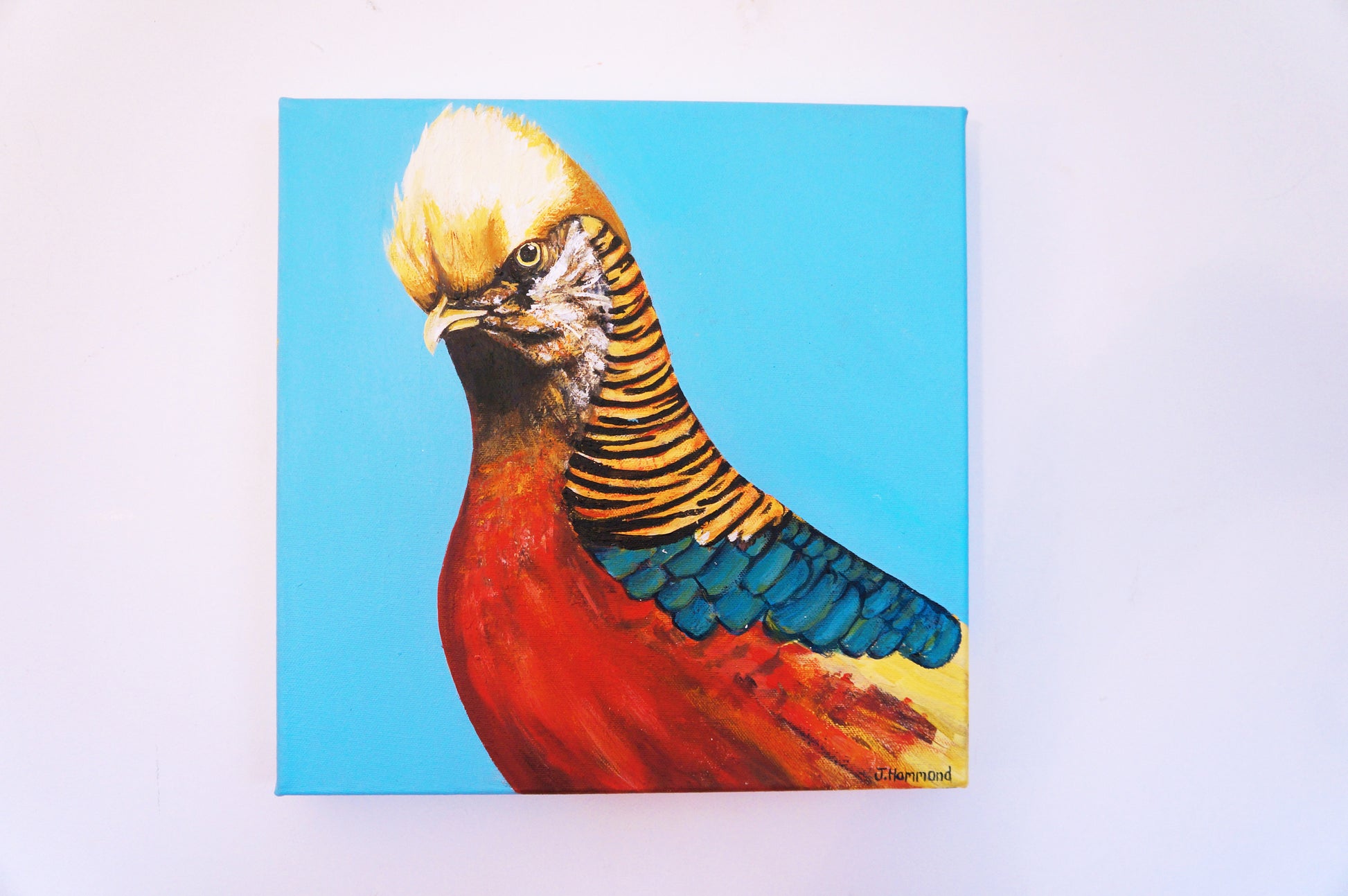 Trump - Bird Portrait Painting  Smart Deco Homeware Lighting and Art by Jacqueline hammond