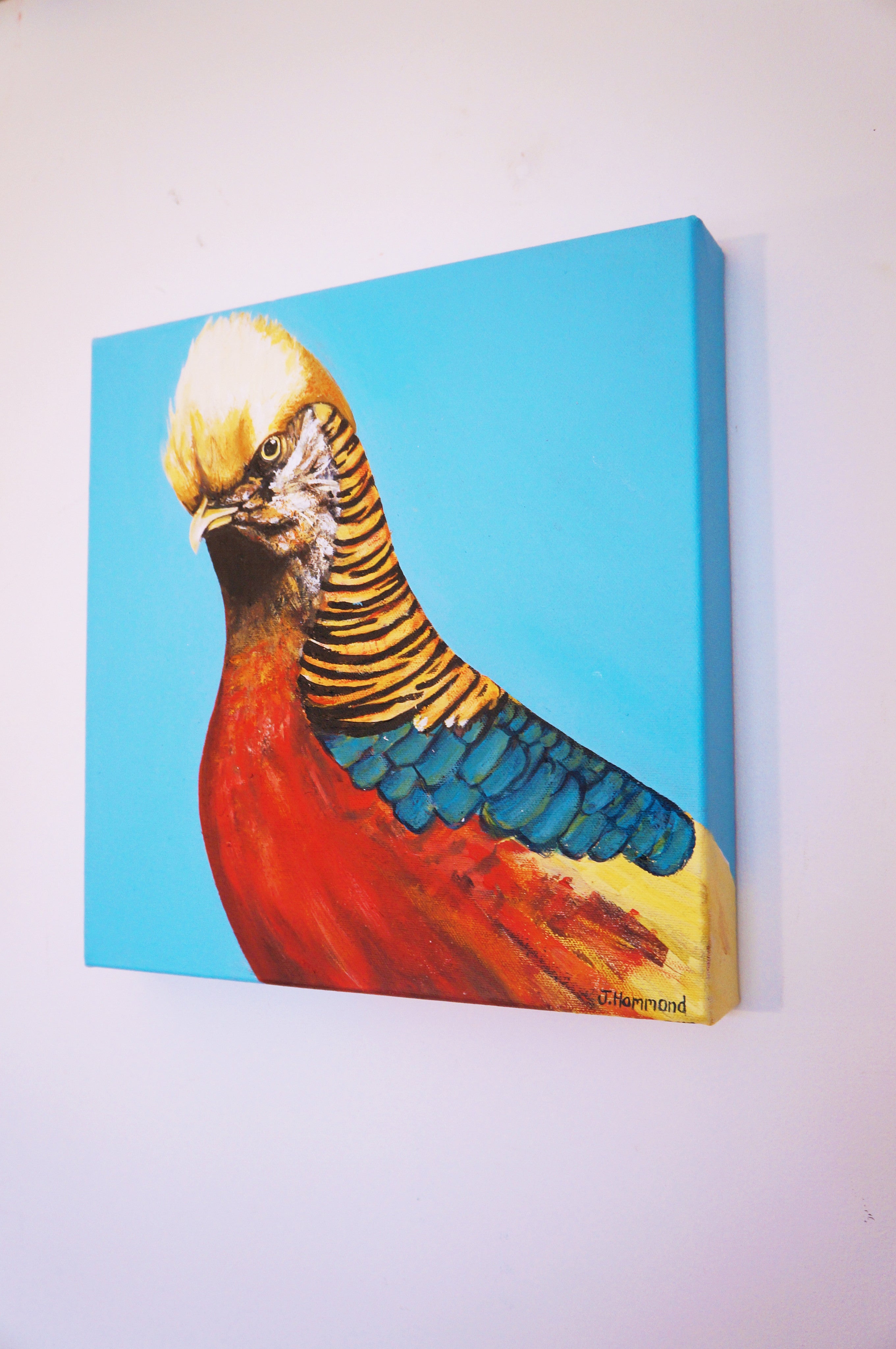 Trump - Bird Portrait Painting  Smart Deco Homeware Lighting and Art by Jacqueline hammond