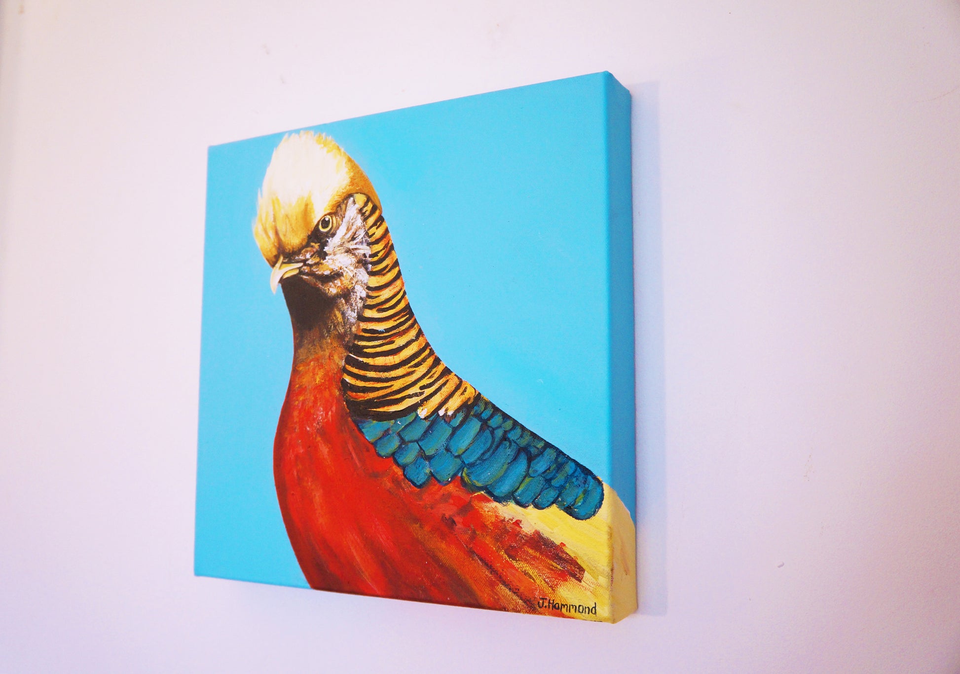 Trump - Bird Portrait Painting  Smart Deco Homeware Lighting and Art by Jacqueline hammond