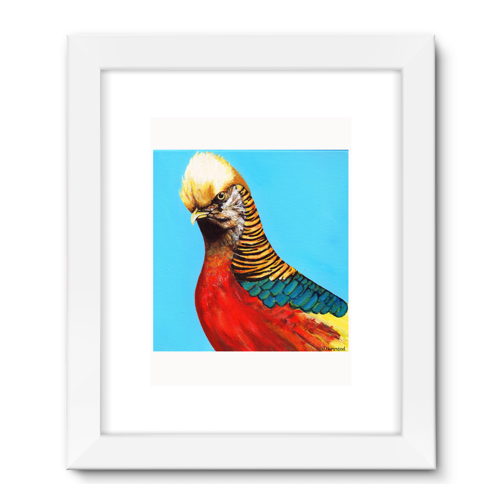 Trump Framed Fine Art Print  Smart Deco Homeware Lighting and Art by Jacqueline hammond