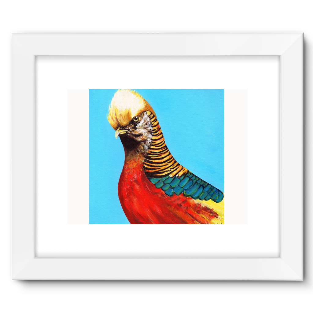 Trump Framed Fine Art Print  Smart Deco Homeware Lighting and Art by Jacqueline hammond