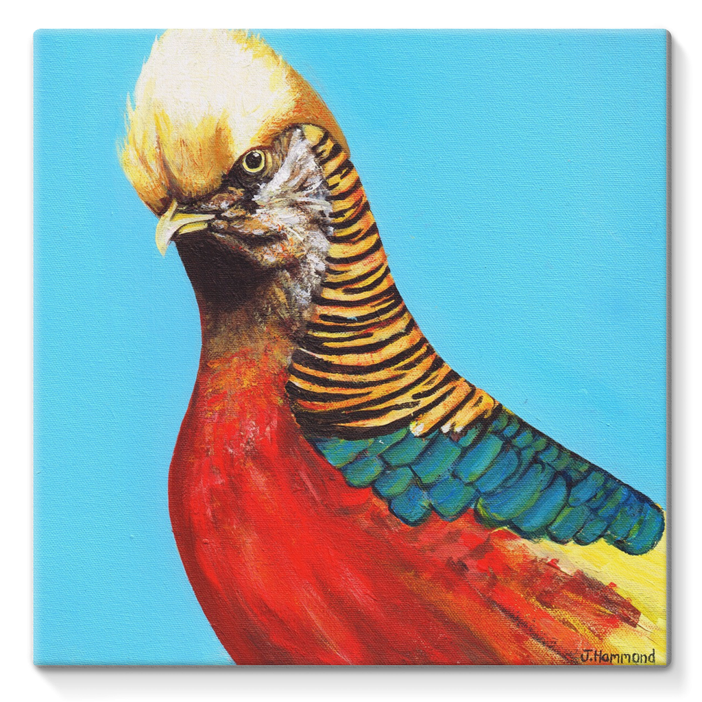 Trump Stretched Eco-Canvas  Smart Deco Homeware Lighting and Art by Jacqueline hammond