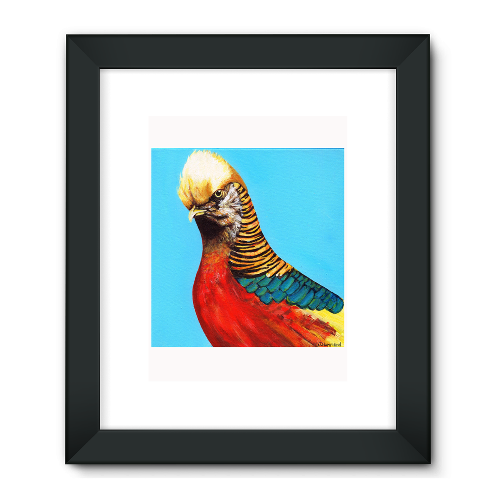 Trump Framed Fine Art Print  Smart Deco Homeware Lighting and Art by Jacqueline hammond