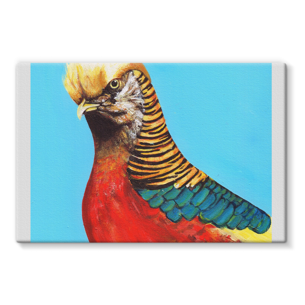 Trump Stretched Eco-Canvas  Smart Deco Homeware Lighting and Art by Jacqueline hammond