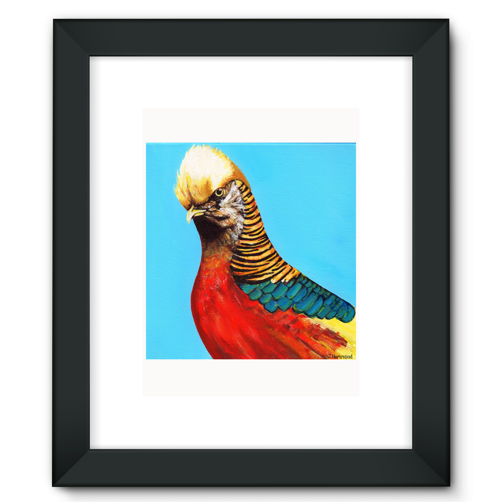 Trump Framed Fine Art Print  Smart Deco Homeware Lighting and Art by Jacqueline hammond