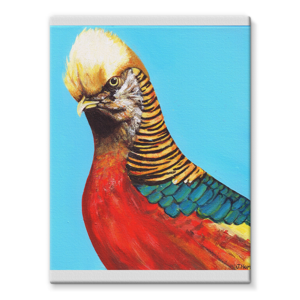 Trump Stretched Eco-Canvas  Smart Deco Homeware Lighting and Art by Jacqueline hammond