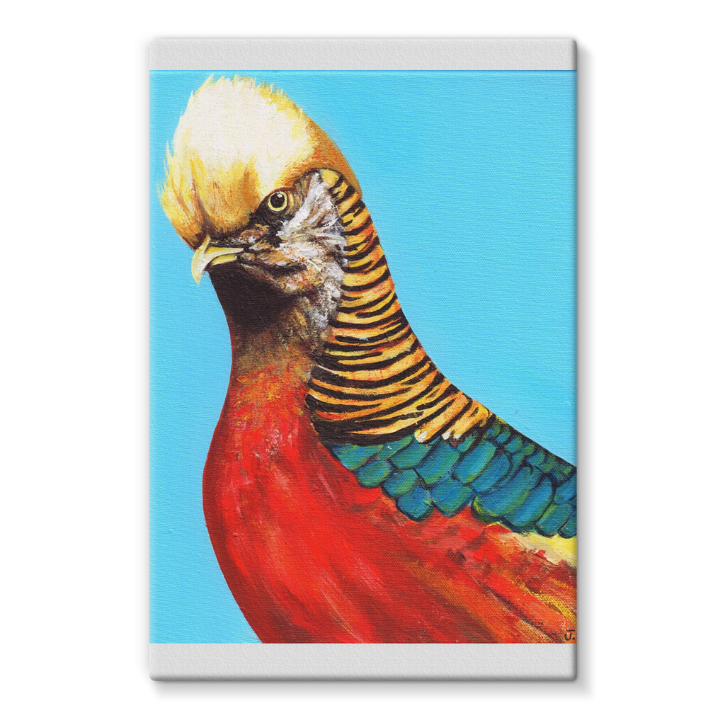 Trump Stretched Eco-Canvas  Smart Deco Homeware Lighting and Art by Jacqueline hammond